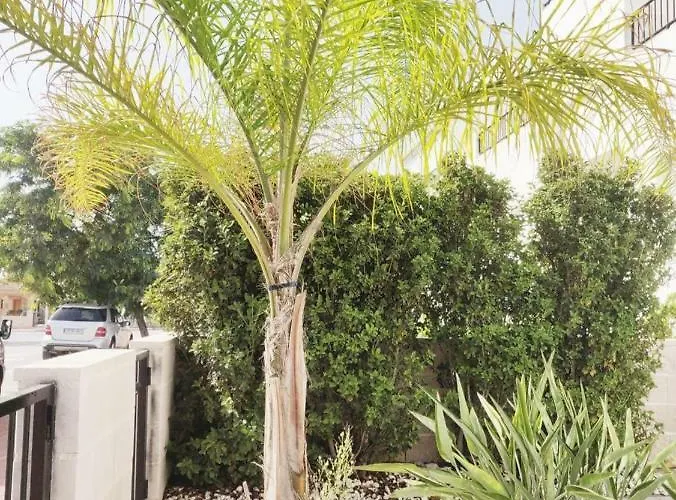 Casa La Zorro Appartement *